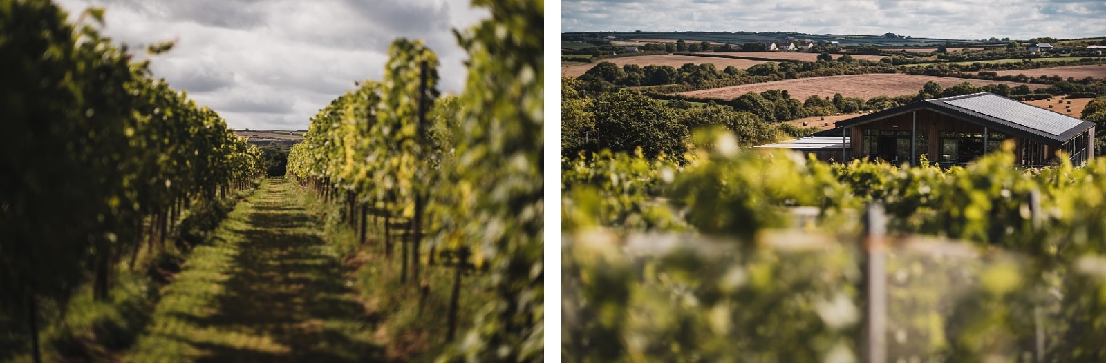 trevibban mill vineyard wedding