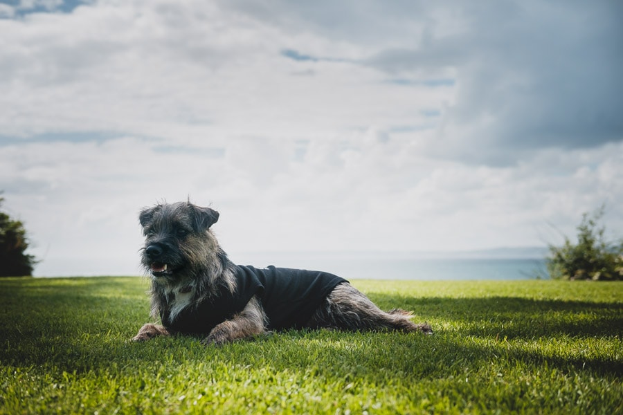 Polhawn Fort Wedding Photography-133