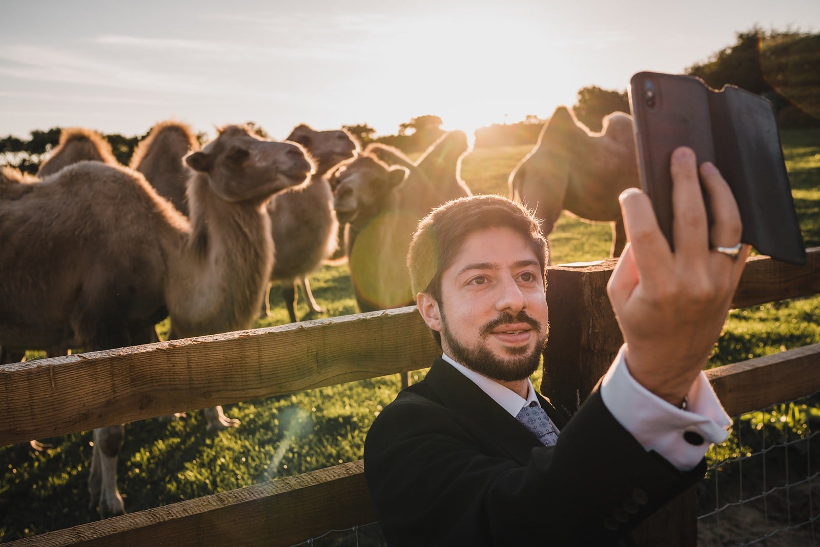 cornish camels rosuick farm wedding